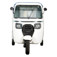 Baxy Cub