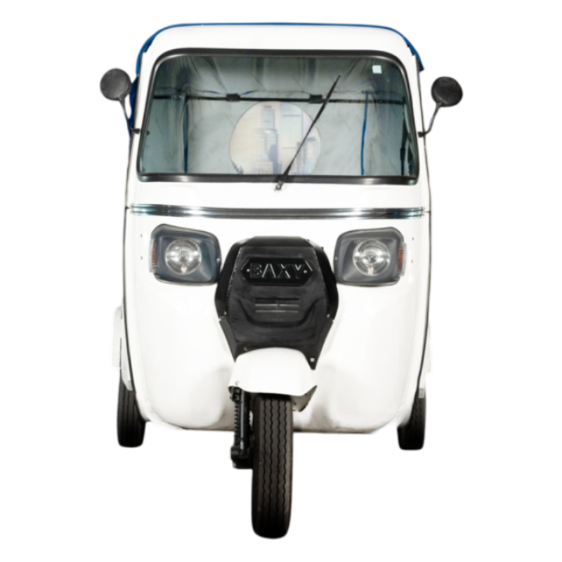 Baxy Cub