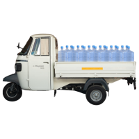 Baxy e-Magnate Cargo