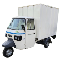 Baxy e-Magnate Delivery Van  