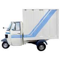Baxy e-Magnate Delivery Van  