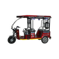 Electroride Basic MS
