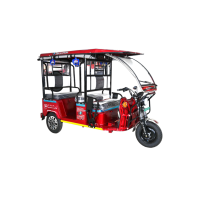 Electroride Basic MS