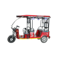 Electroride Basic MS