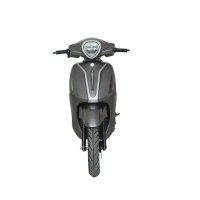 Electroride Forza Pro