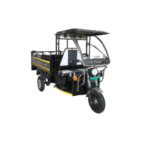 Electroride Loader