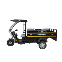Electroride Loader