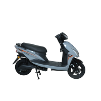 Electroride ZL Pro
