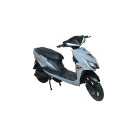 Electroride ZL Pro