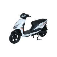 Electroride ZL Pro