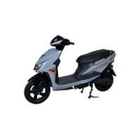 Electroride ZL Pro
