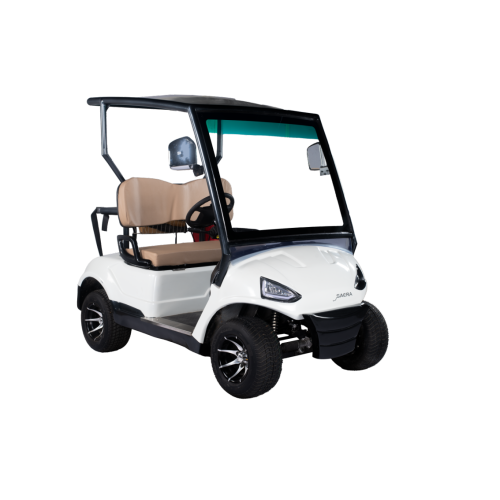Golfcarts 2 Seater