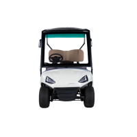 Golfcarts 2 Seater