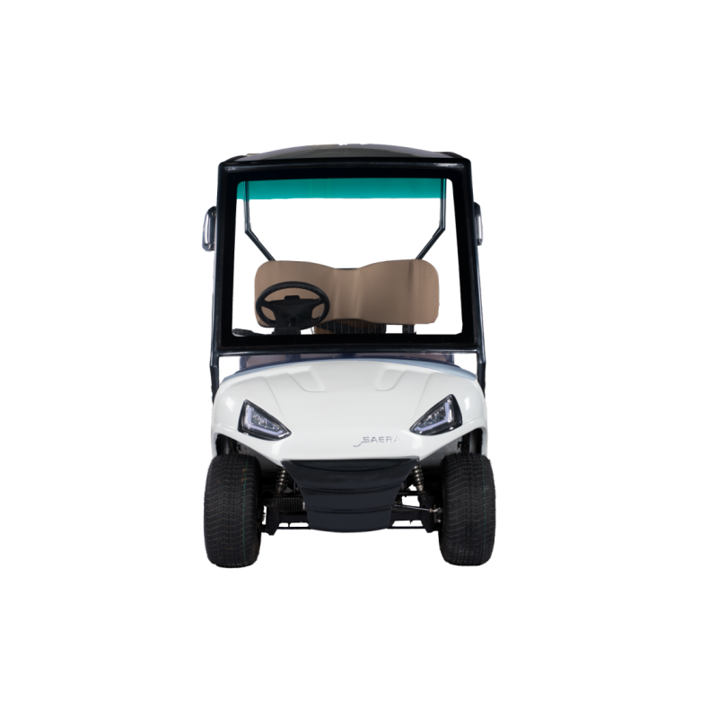 Golfcarts 2 Seater