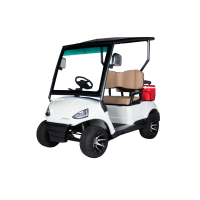 Golfcarts 2 Seater