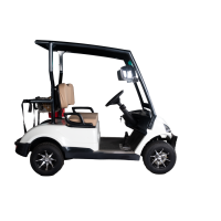 Golfcarts 2 Seater