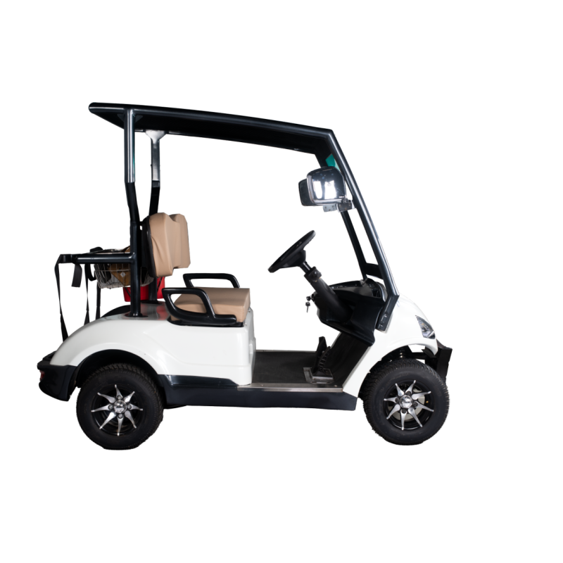 Golfcarts 2 Seater