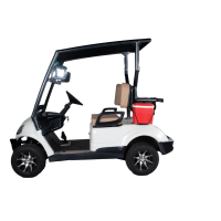 Golfcarts 2 Seater