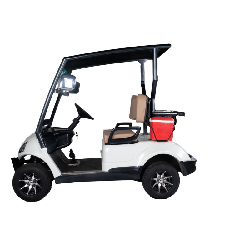 Golfcarts 2 Seater