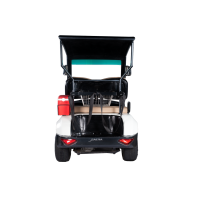 Golfcarts 2 Seater