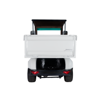 Golf carts 2 Seater Plus Cargo