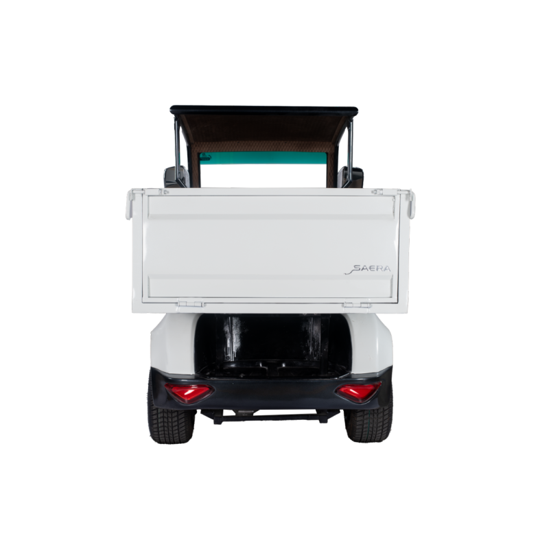 Golf carts 2 Seater Plus Cargo