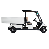 Golf carts 2 Seater Plus Cargo