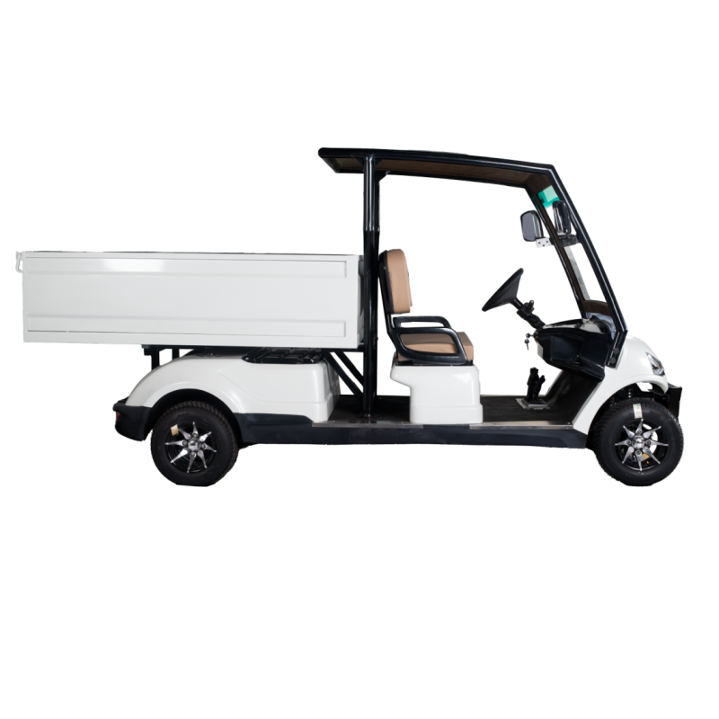 Golf carts 2 Seater Plus Cargo