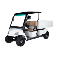Golf carts 2 Seater Plus Cargo