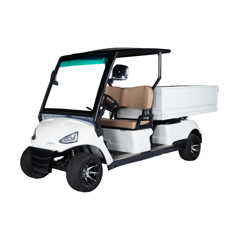 Golf carts 2 Seater Plus Cargo