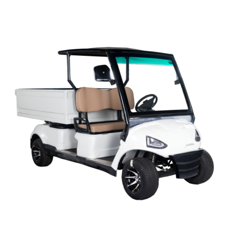 Golf carts 2 Seater Plus Cargo