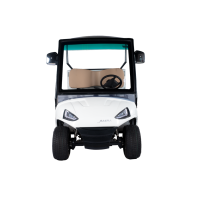 Golf carts 2 Seater Plus Cargo