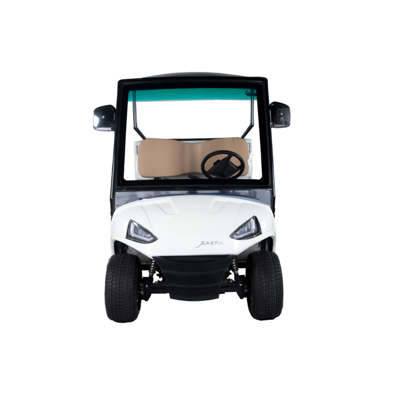 Golf carts 2 Seater Plus Cargo