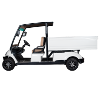 Golf carts 2 Seater Plus Cargo