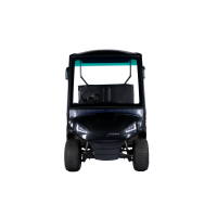 Golf carts 4 Seater Plus Cargo