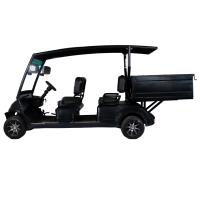 Golf carts 4 Seater Plus Cargo