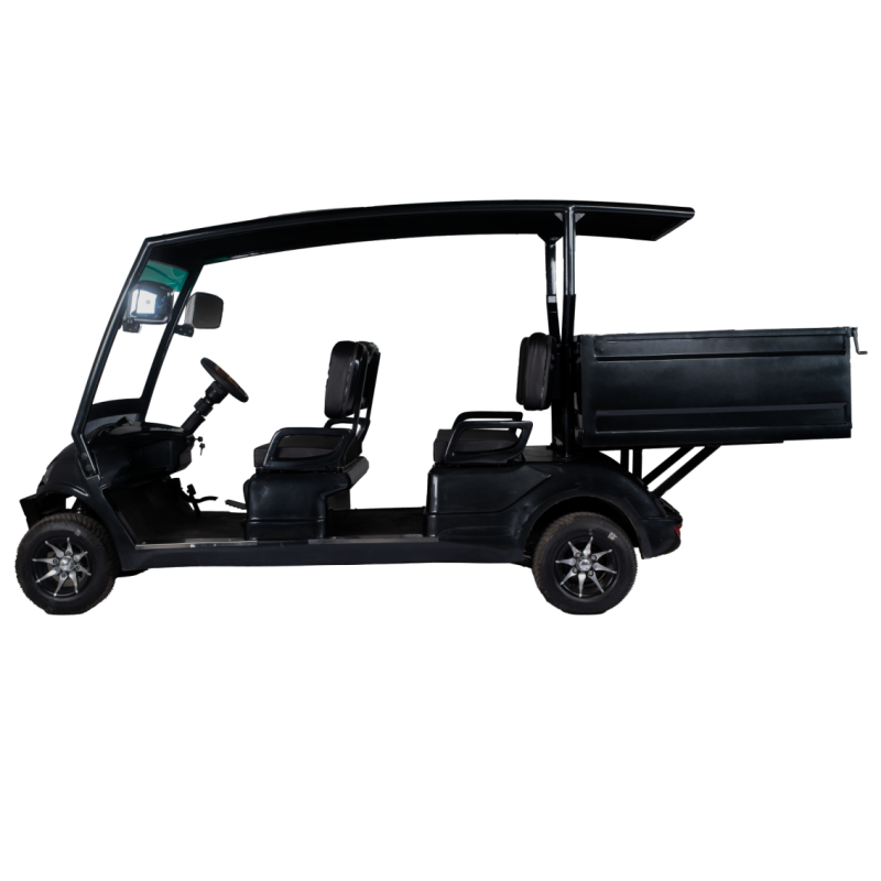 Golf carts 4 Seater Plus Cargo