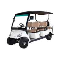 Golfcarts 6 Seater