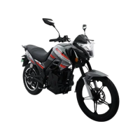 Mantra Bike 