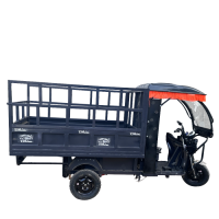 Victory Bhim E-Cart Open Loader Victory Bhim E-Cart Open Loader